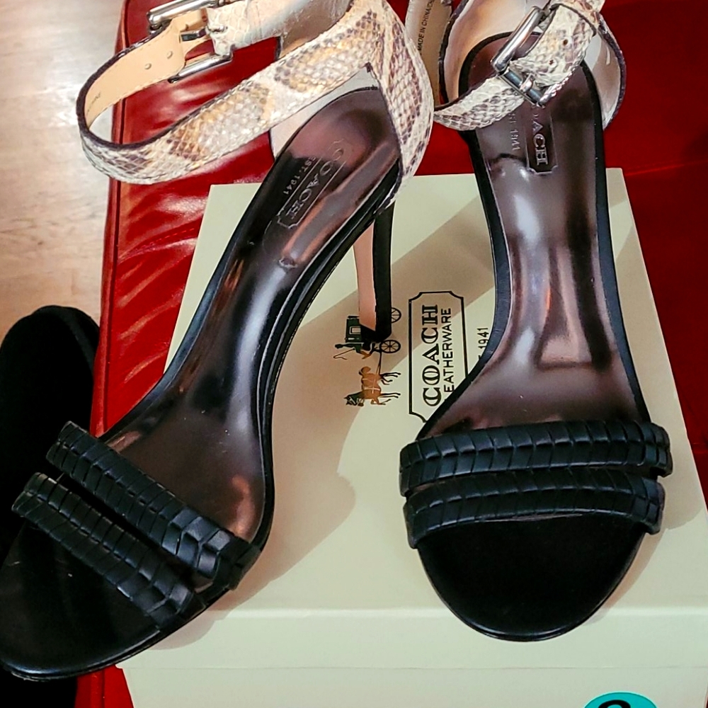 Python 4inch sandal